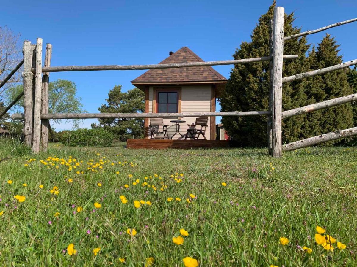 Muha Beach Holiday Home Riksu Zewnętrze zdjęcie